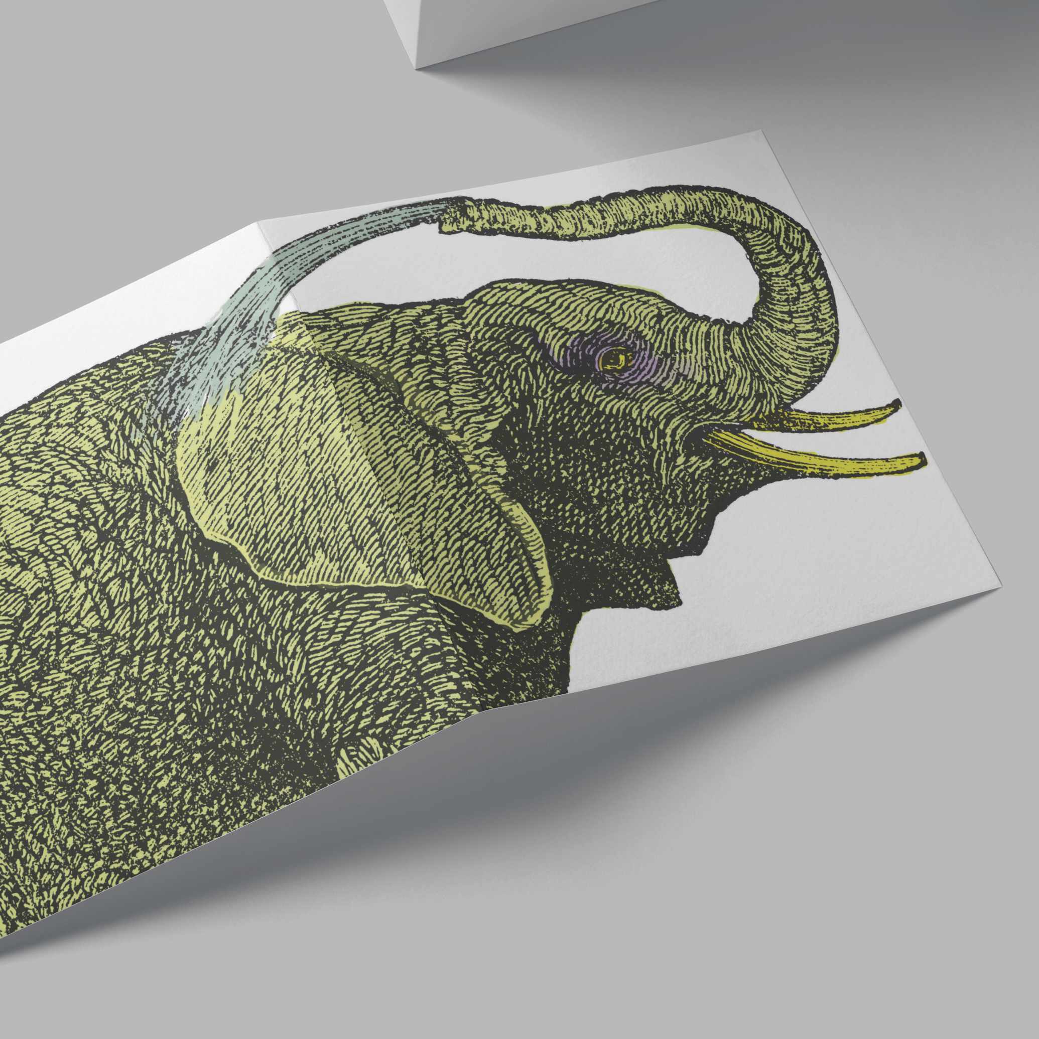 Elephant Card